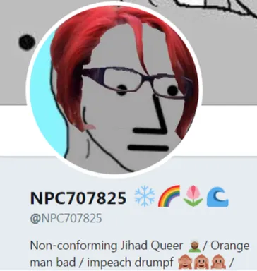 NPCS.NPC707825
