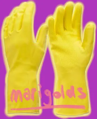 MARIGOLDS
