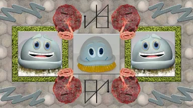 A11170437619037214697