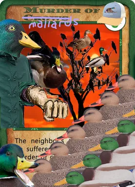 KALEIDOSCOPE.MurderOfMallards