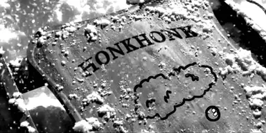 A11114688436774133166